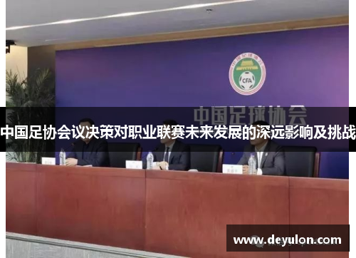 中国足协会议决策对职业联赛未来发展的深远影响及挑战